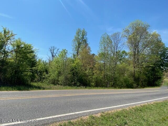 Land for sale in Tate, Mississippi