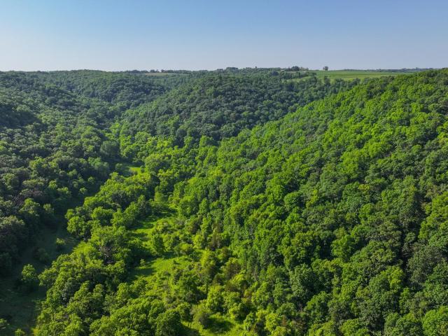 Land for sale in Minnesota