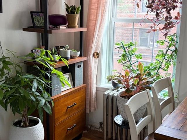 Room for rent in Arverne, New York