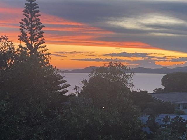 Apartment for rent in Days Bay, Wellington