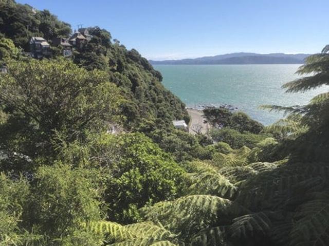 House for rent in Days Bay, Wellington