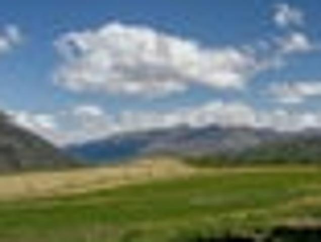 Land for sale in Otakou