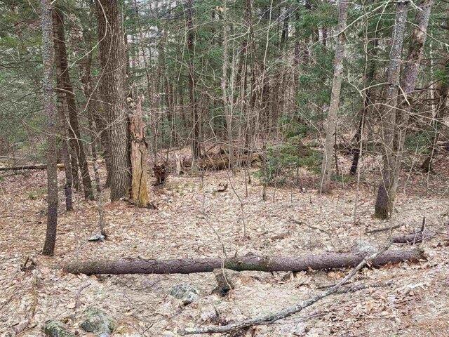 Land for sale in New Hampshire