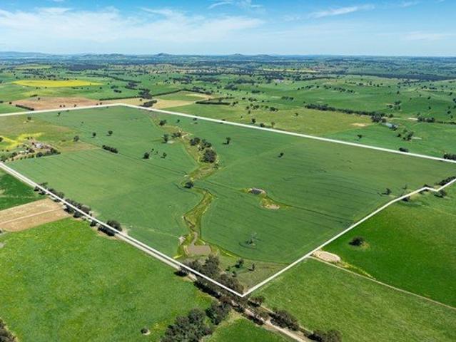 Acreage for sale in Pulletop, Wagga Wagga City Council