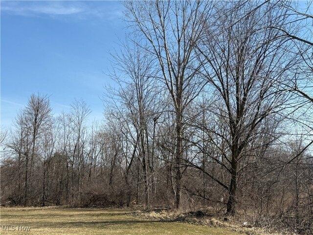 Land for sale in Lorain