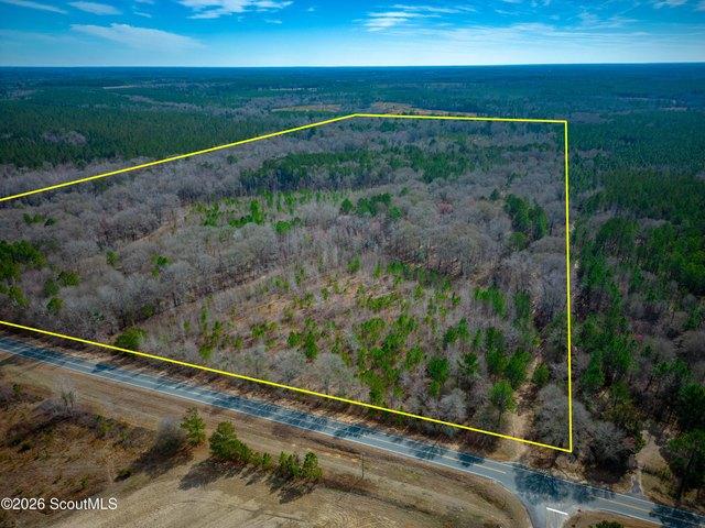 Land for sale in Dodge, Georgia