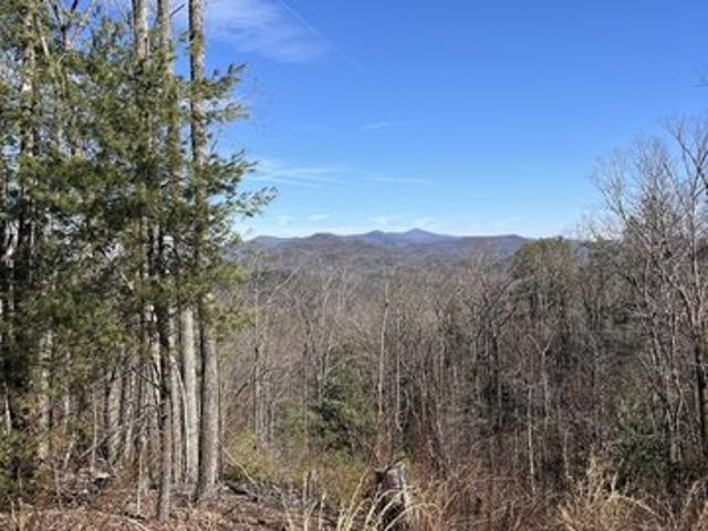 Land for sale in Tiger, Rabun County