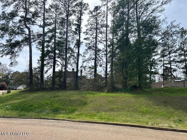 Land for sale in Jackson
