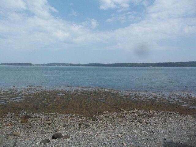 Land for sale in Eastport, Maine