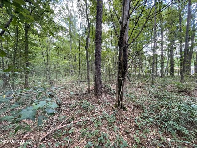 Land for sale in Decatur, Mississippi