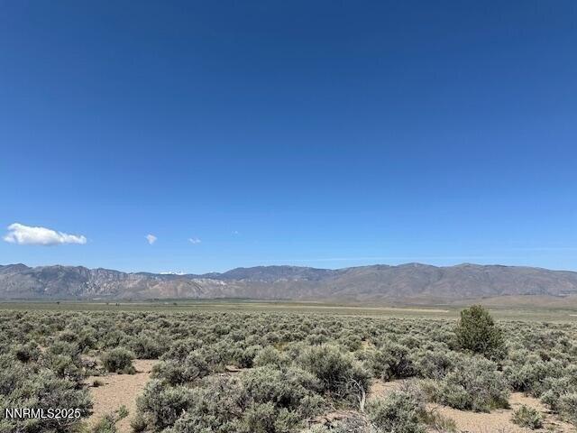 Land for sale in Gardnerville