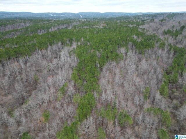 Land for sale in Warrior, Alabama