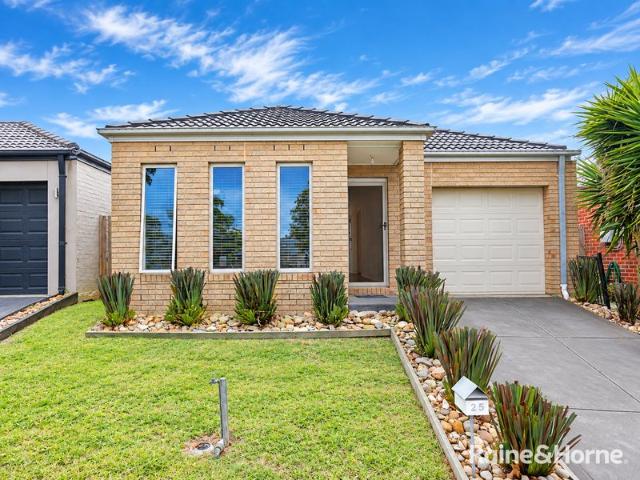 House for sale in Craigieburn, Melbourne
