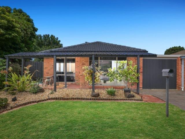 House for sale in Camerons Creek, Victoria