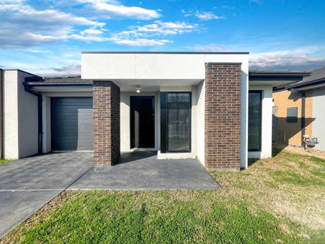House for rent in North Geelong, Geelong