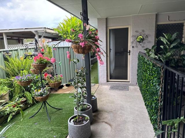 House for rent in Cooroy