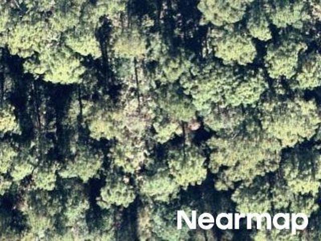 Land for sale in Florida