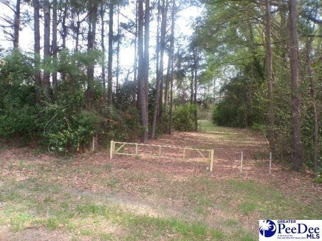 Land for sale in Darlington, South Carolina