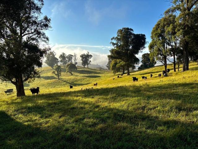 Cottage for sale in Hazelgrove, Oberon Council