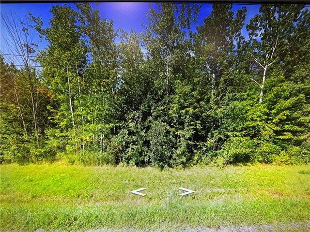 Land for sale in Wayne, New York