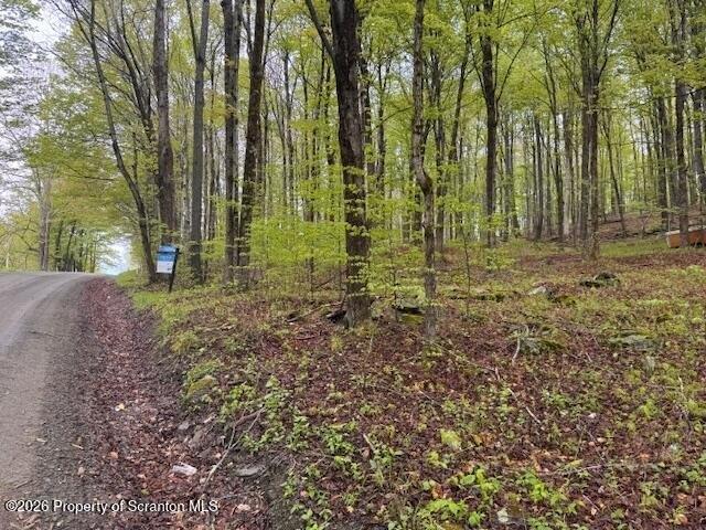 Land for sale in New Milford, Pennsylvania