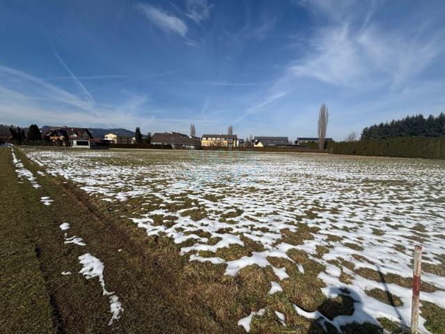 Grundstück kaufen in Altenmarkt, Kaindorf an der Sulm