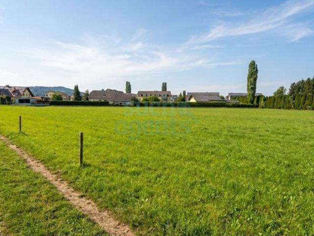 Grundstück kaufen in Altenmarkt, Kaindorf an der Sulm