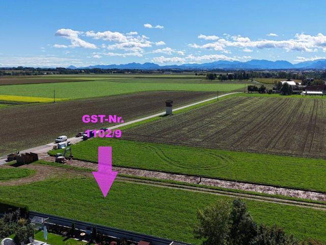 Immobilie kaufen in Steinerkirchen an der Traun, Oberösterreich