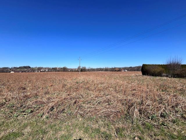 Immobilie kaufen in Taufkirchen an der Pram, Oberösterreich