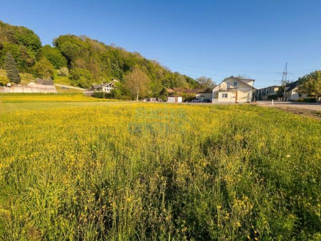 Grundstück kaufen in Ernsthofen, Niederösterreich