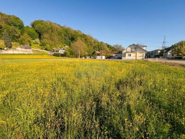 Immobilie kaufen in Ernsthofen, Niederösterreich