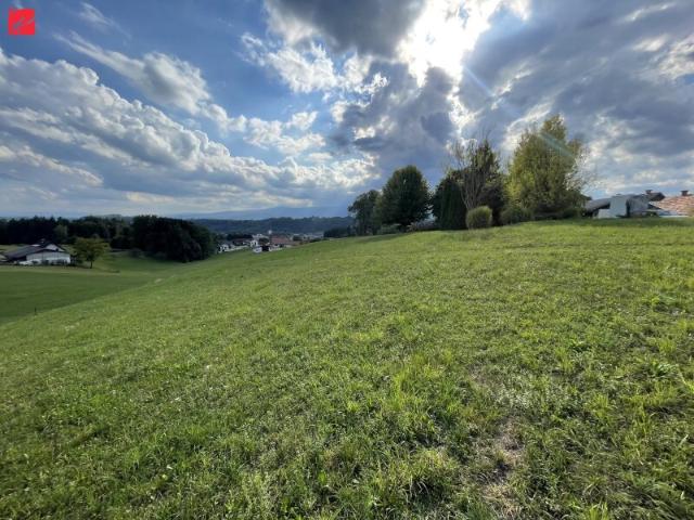 Grundstück kaufen in Hitzendorf, Steiermark