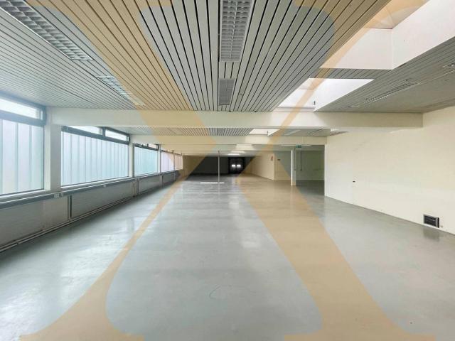 Gewerbe mieten in Wagram, Pasching