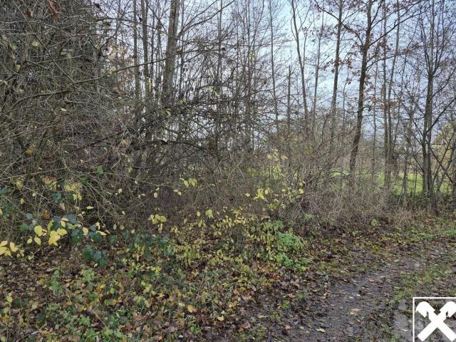 Grundstück kaufen in Altheim, Oberösterreich