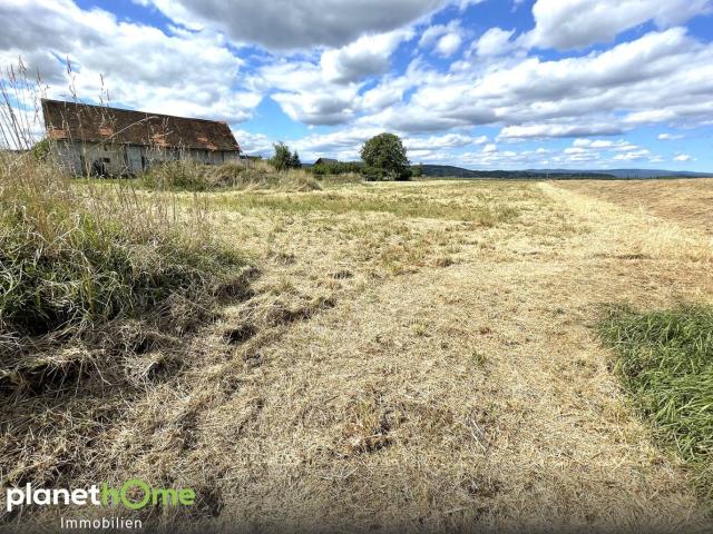 Grundstück kaufen in Burgenland