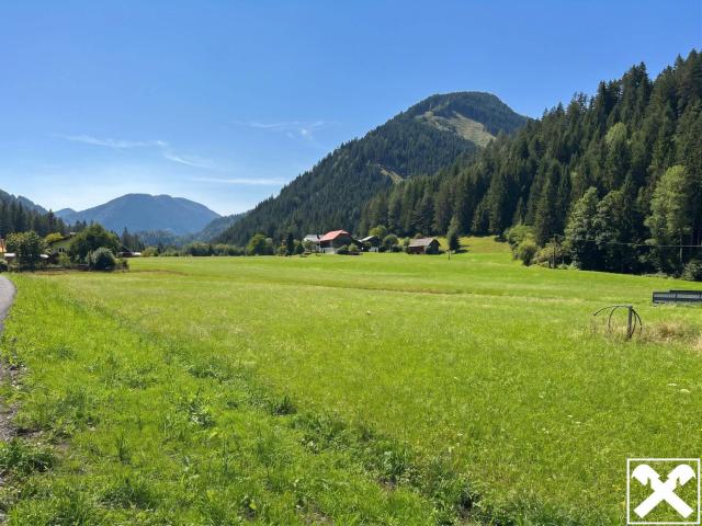 Immobilie kaufen in Stockenboi, Kärnten