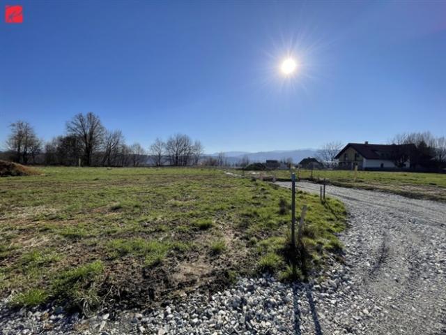 Grundstück kaufen in Frauental, Steiermark