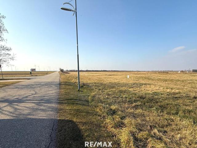 Grundstück kaufen in Nickelsdorf, Burgenland