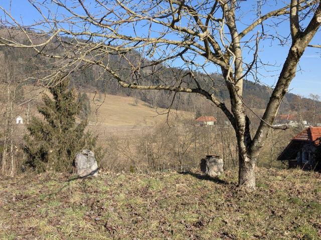 Immobilie kaufen in Viechtwang, Scharnstein