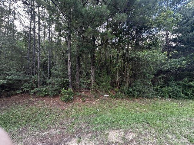 Land for sale in Leesville, Louisiana