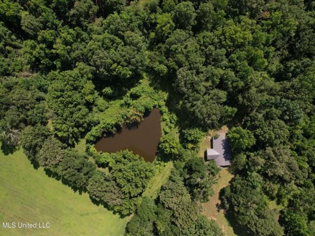 Land for sale in Lexington, Mississippi