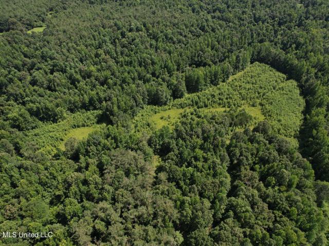 Land for sale in Lexington, Mississippi