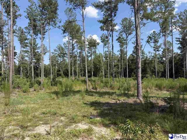 Land for sale in Bennettsville, South Carolina