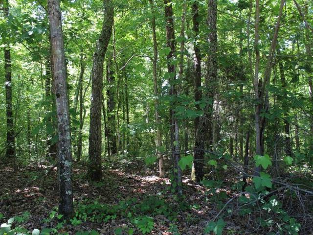 Land for sale in Tennessee