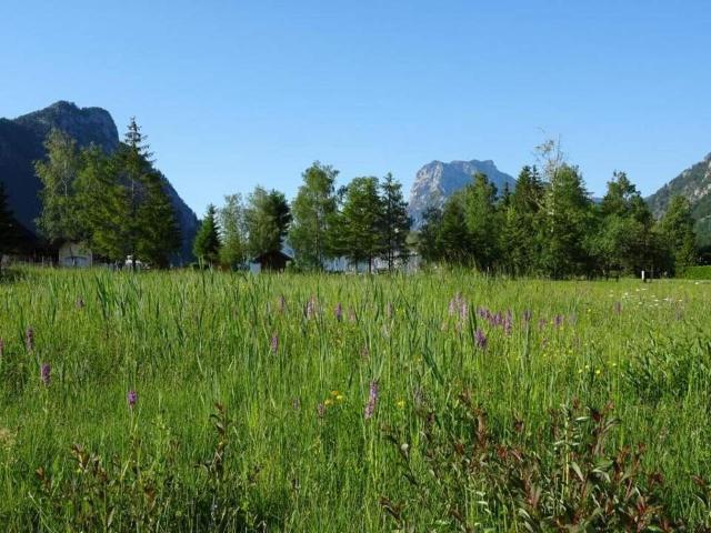 Grundstück kaufen in Gmunden, Oberösterreich