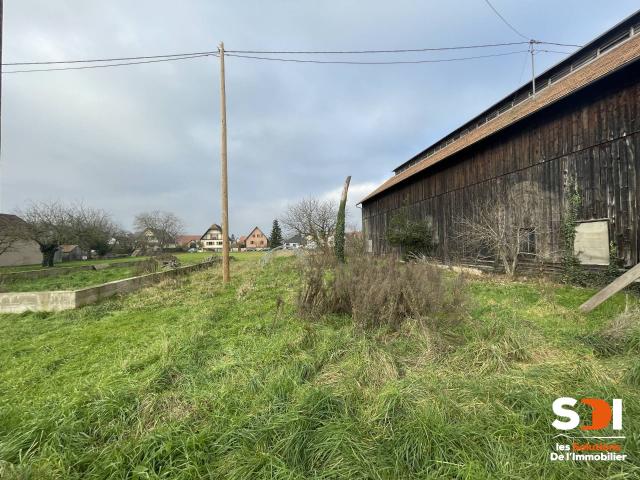 Terrain vente à Ebersheim, Collectivité européenne d'Alsace