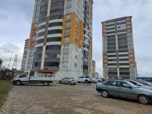 Kastamonu Merkez, Kastamonu içerisinde kiralık mülk