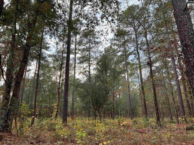 Land for sale in Wagener