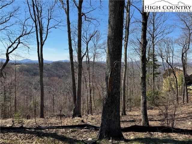 Land for sale in Elk Park, Avery County