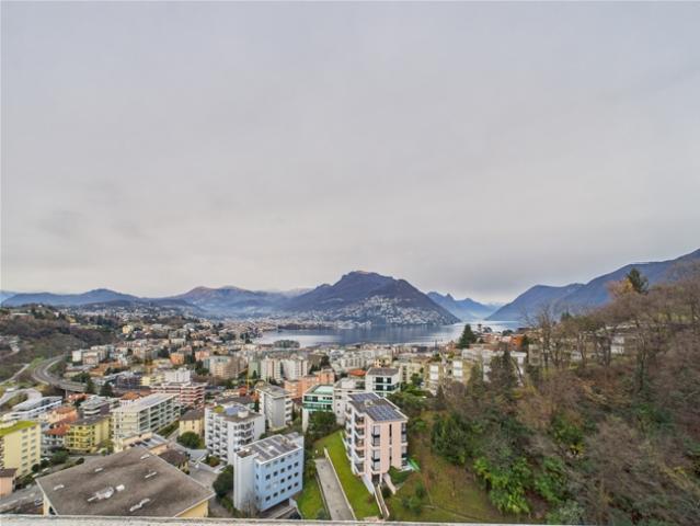 Wohnung kaufen in Aldesago, Tessin
